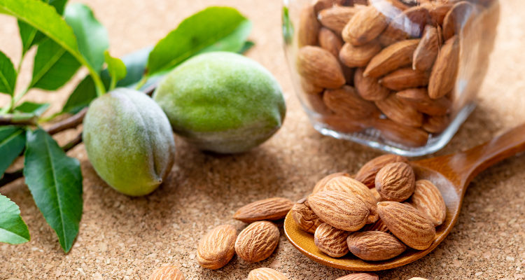 almond farm
