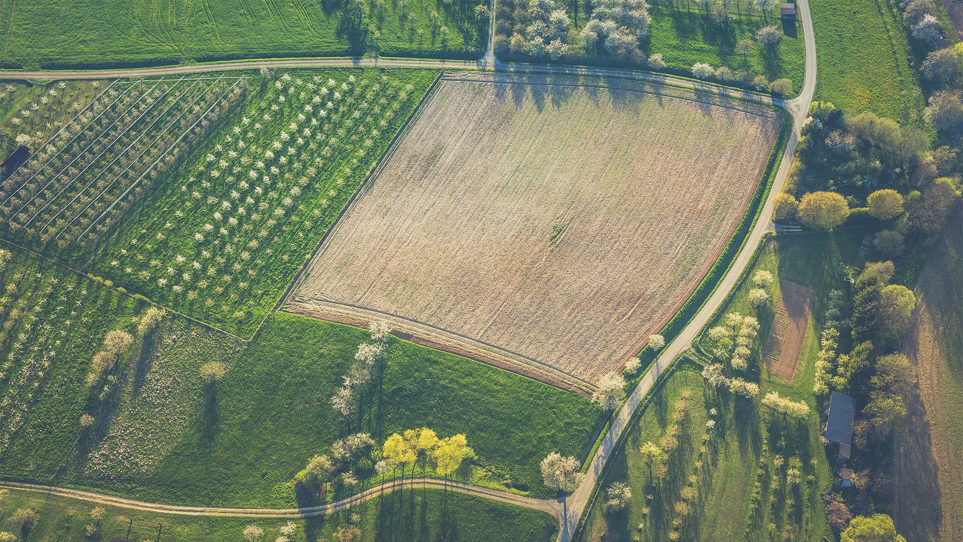 agro-invest-spain-best option-02