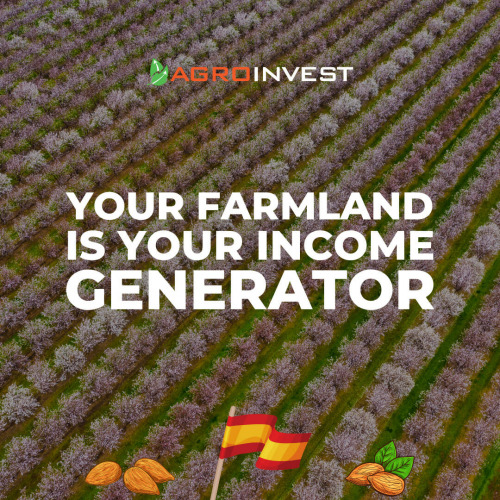 Income Generator Income Generator