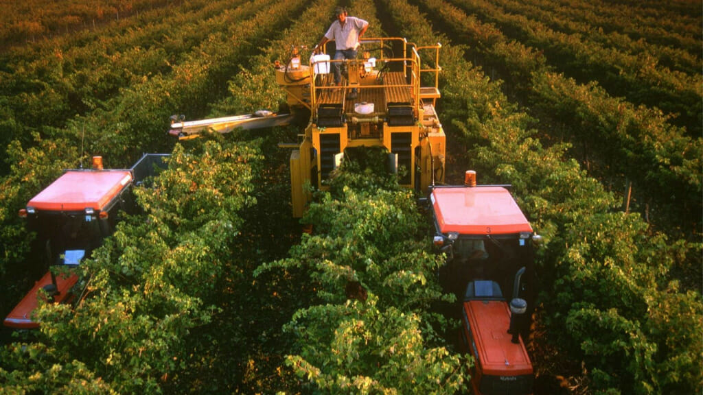 Smart Farming in Agro Invest Spain