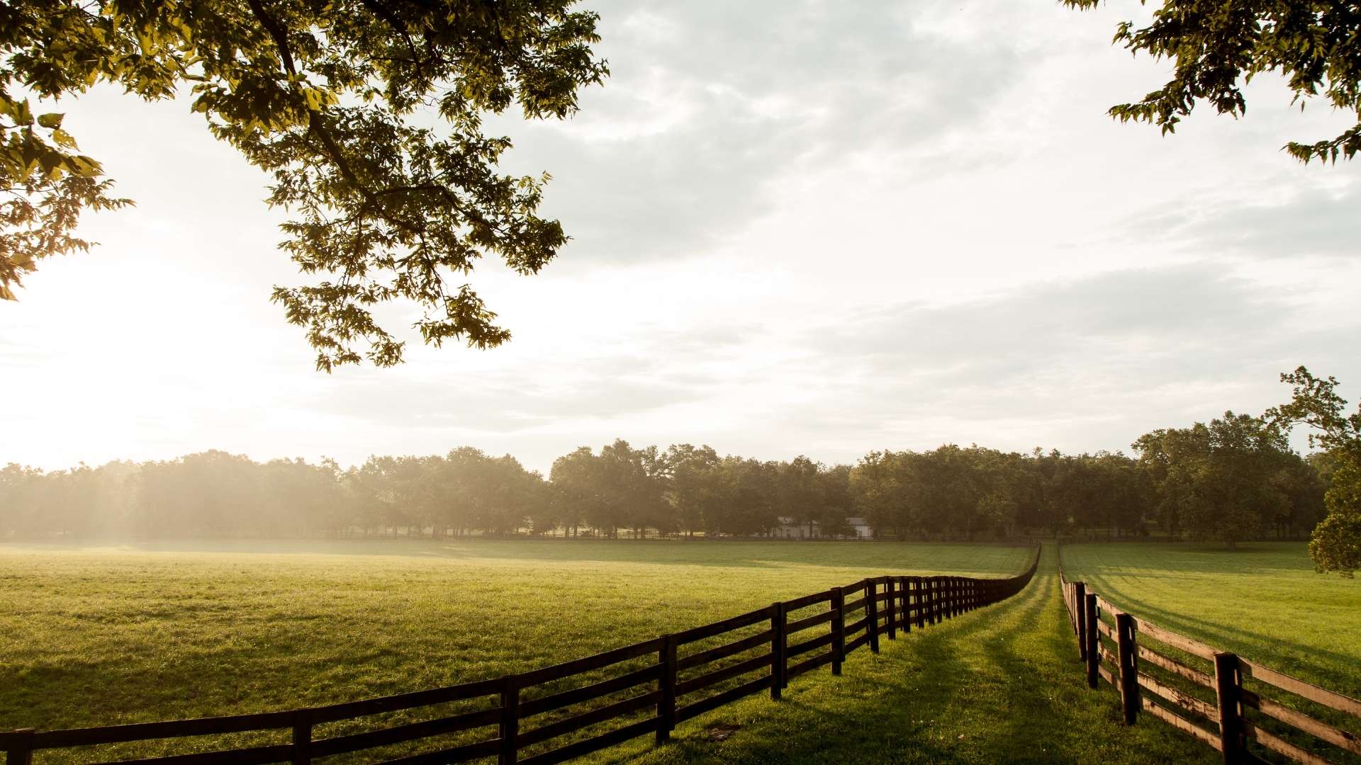 owning-a-managed-farmland