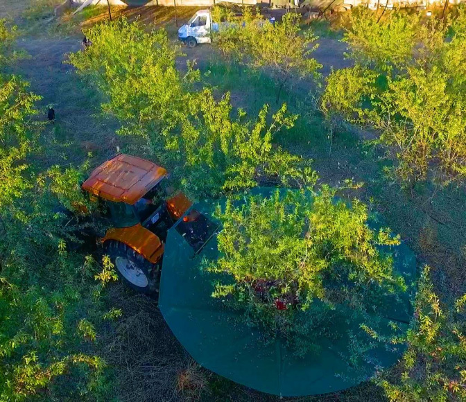 Smart Farming in Agro Invest Spain
