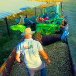 Agricultural Investment in Agro Invest Spain