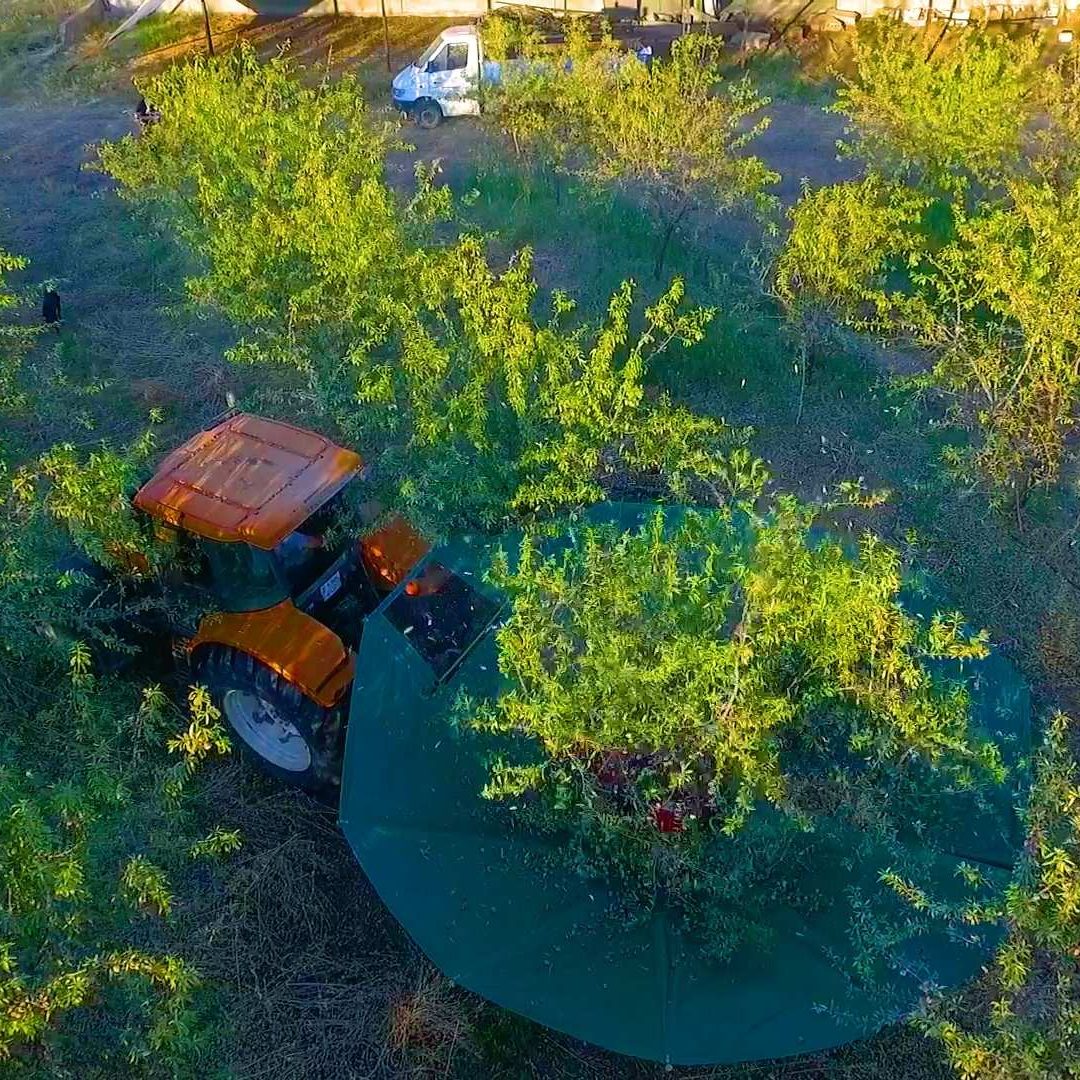 Smart Farming in Agro Invest Spain