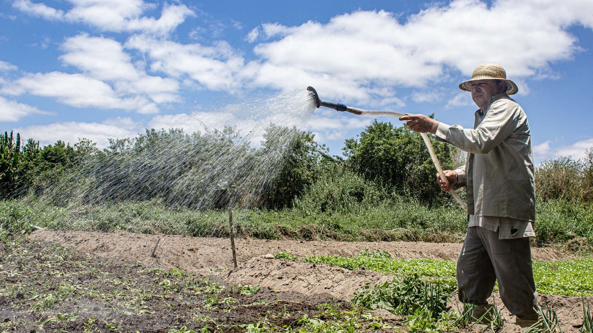 importance-of-irrigation