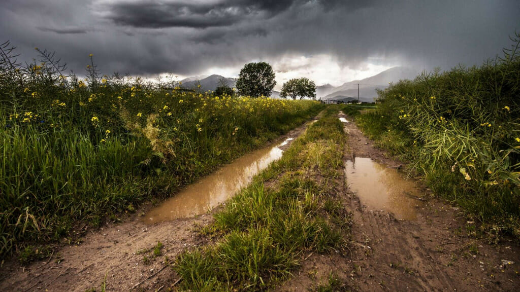 Discover the importance of effective water management in high-value greenhouse farming, Agro Invest Spain with our insights on Beyond Rainfall