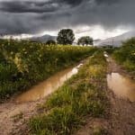 Discover the importance of effective water management in high-value greenhouse farming, Agro Invest Spain with our insights on Beyond Rainfall