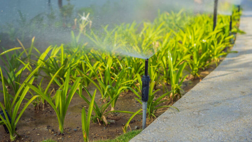 Irrigation Systems and Importance in Farming