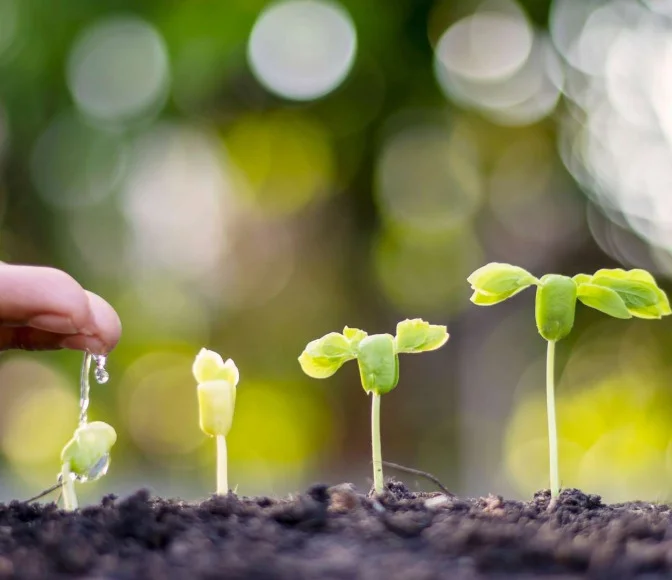 How Science and Data are Driving a Revolution 22 investment trends
