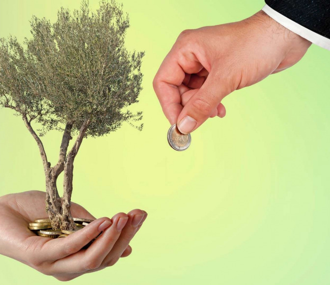 Optimizing Your Farmland Investment: Strategies for Success