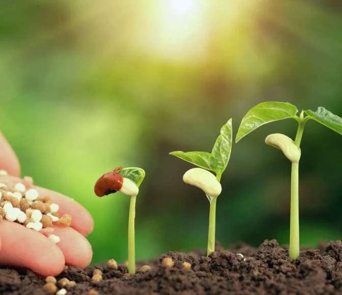 How Soil Science and Agricultural Ecology Are Shaping the Future of Farming 18