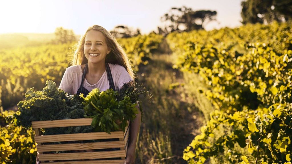 farm-industry-farming-industry
