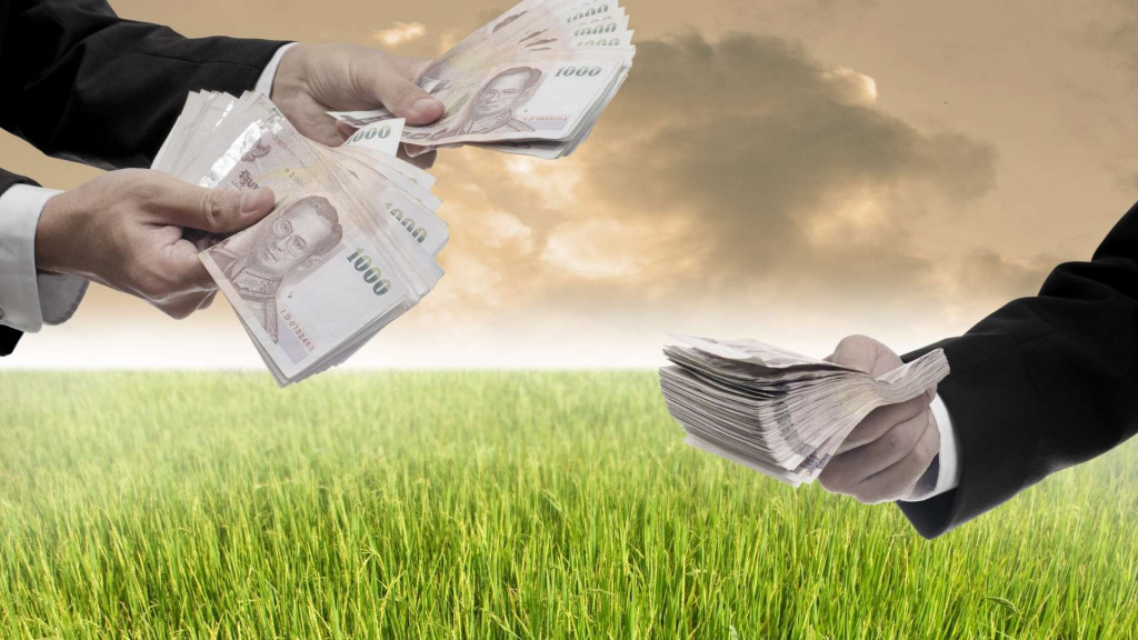 invest-in-farmland-managed-farmlands