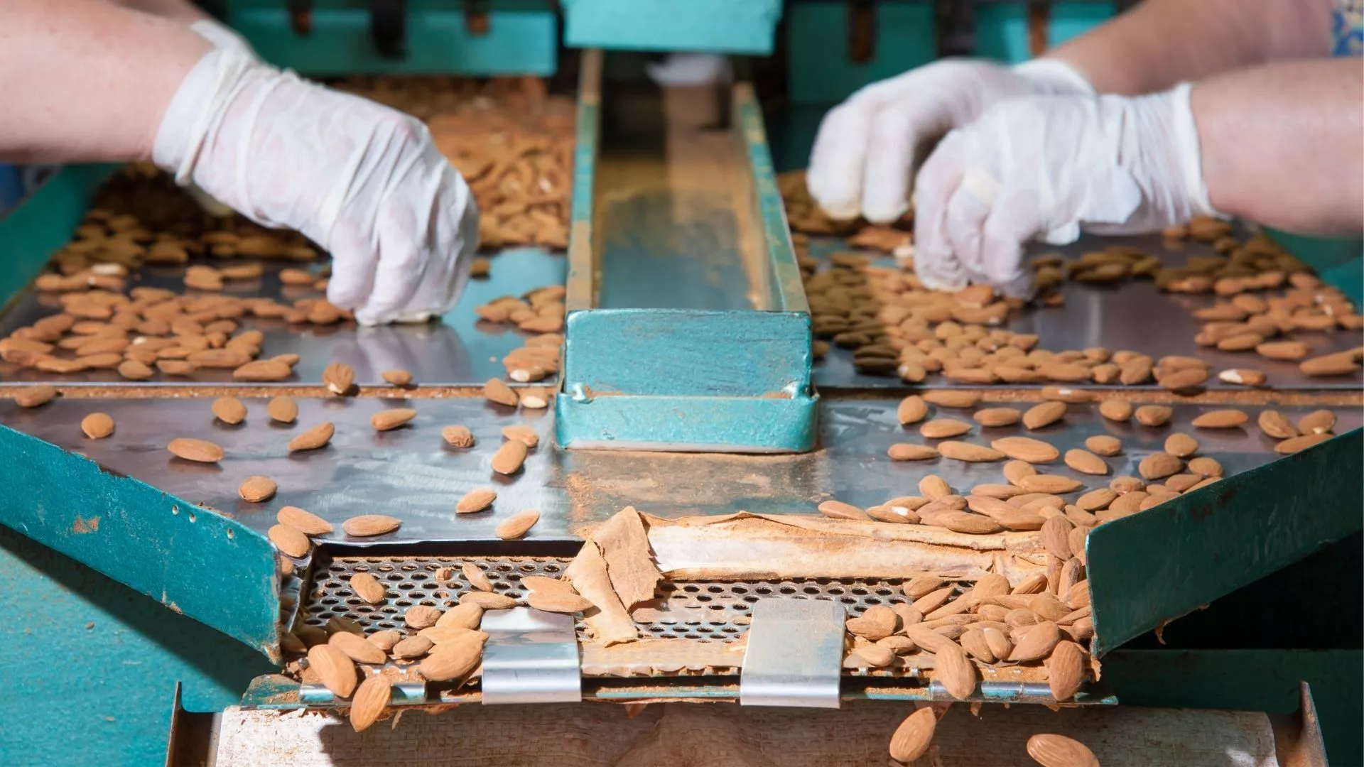 Spain Almond Processing Factory Farmland Agriculture2