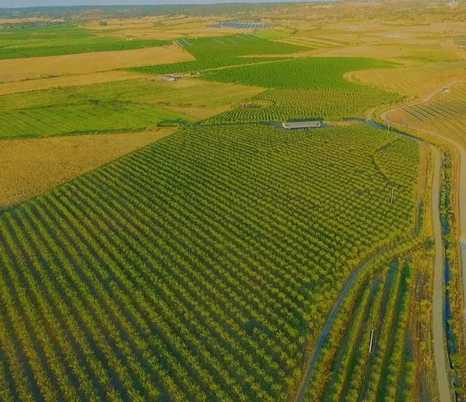 Decoding the Future of Agriculture in Agro Invest Spain: Smart Farming and the Evolving Consumer 14 Future of Agriculture in Agro Invest Spain agro-invest-spain-be-our-partner