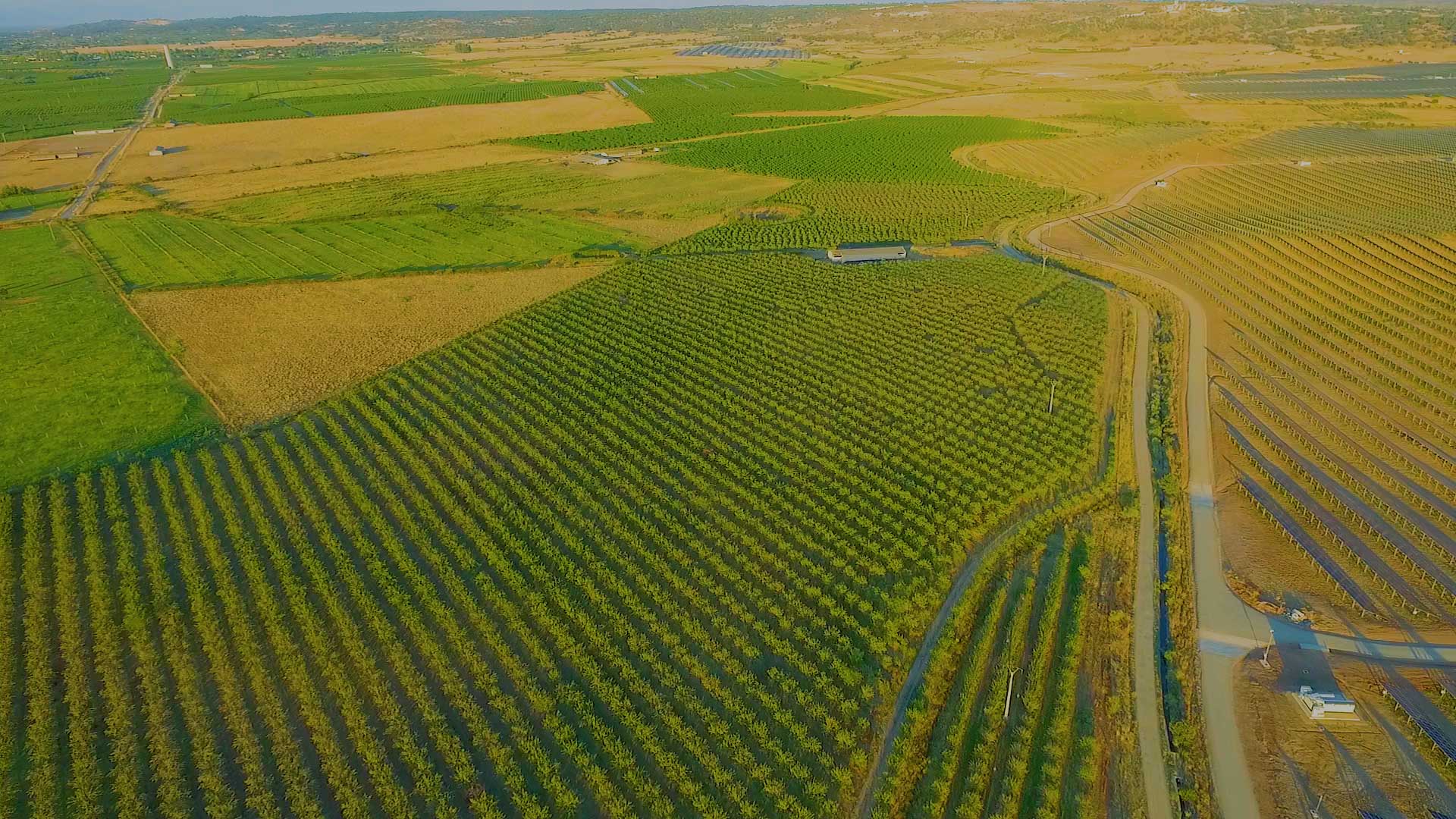 agro-invest-spain-be-our-partner