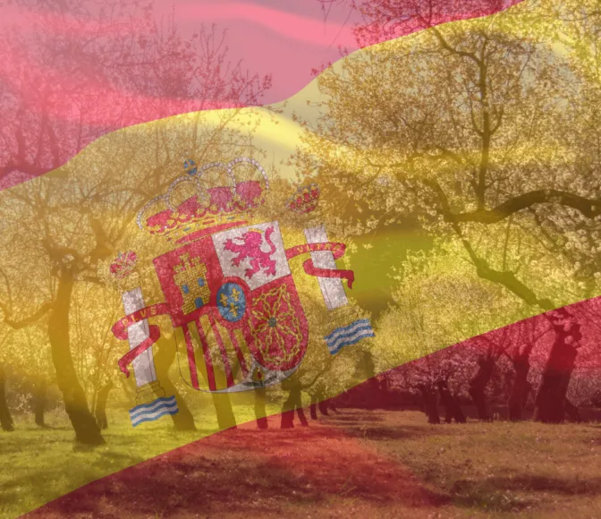 Beyond the Hype - How Political News Shapes Your Agricultural Investment in Spain 10 The Best Way to Invest in Spain