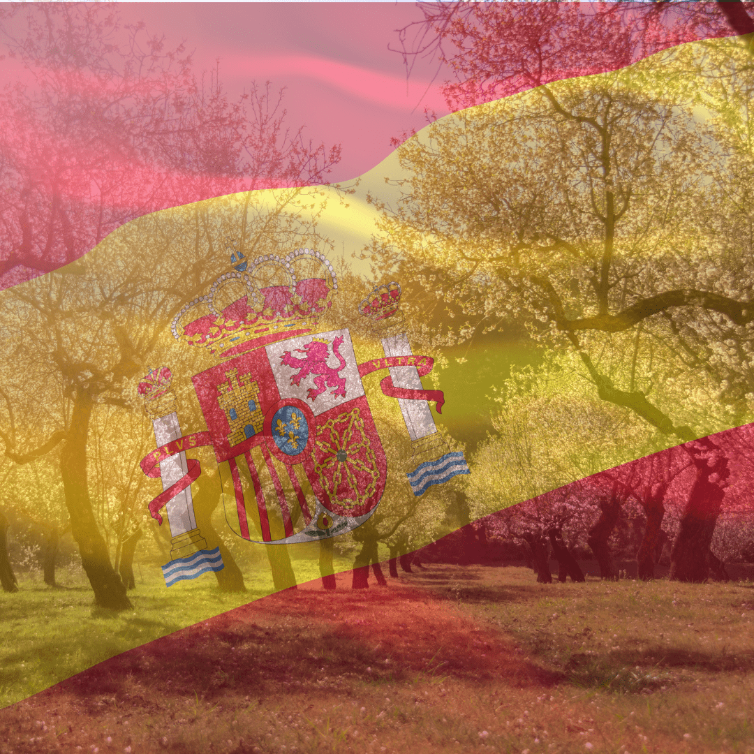 Why Spain? 5