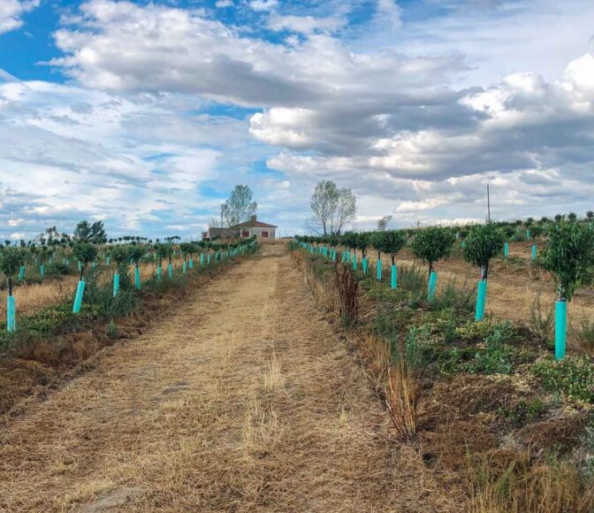 The 2026 Playbook for Climate-Resilient Rural Development 23