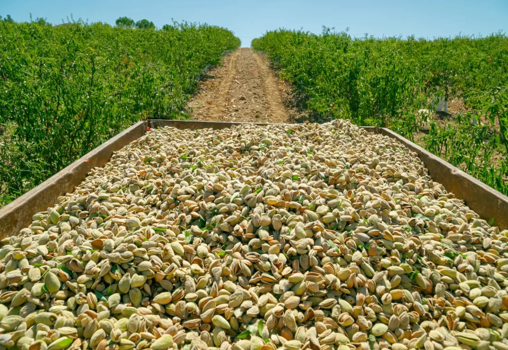 Let's Talk Straight About Cloud Seeding and Doing What's Right 8