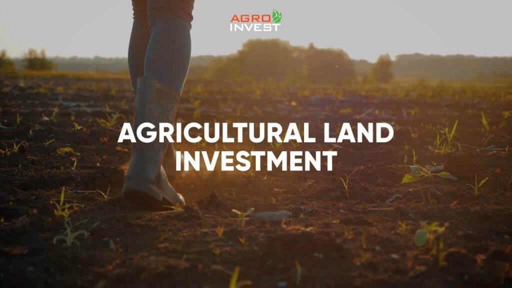 Agricultural Insurance and Financial Support - Strengthening Long-Term Agricultural Ownership in Spain 