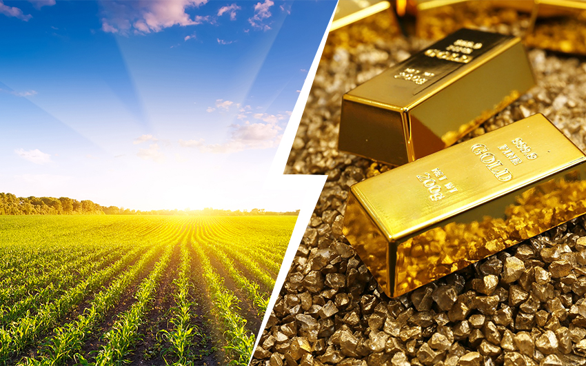 Income-Producing Assetsagro-invest-spain