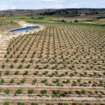 Agricultural Land-agro-invest-spain-01