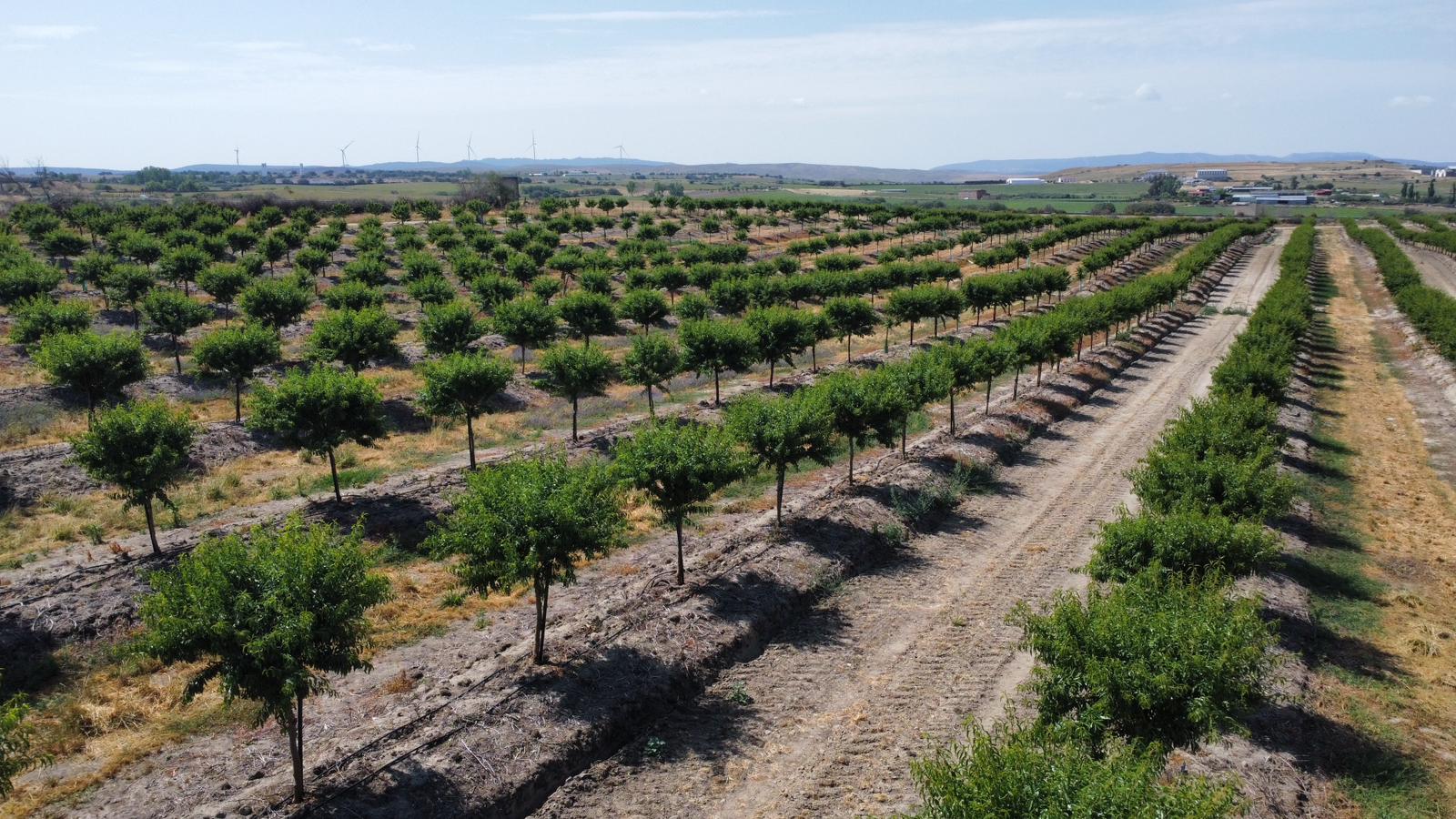 International Investing in Agriculture AIS ENG International Investing in Agriculture AIS ENG