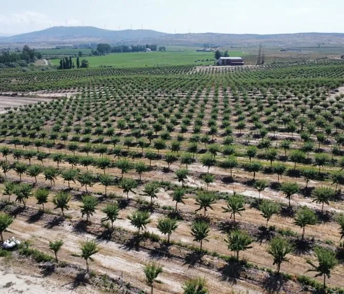 Let's Talk Straight About Cloud Seeding and Doing What's Right 10 Key Metric for Agriculture Investors agro-invest-spain-06