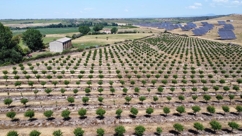 Agricultural Investments in Spainagro-invest-spain-07 Agricultural Investments in Spain
