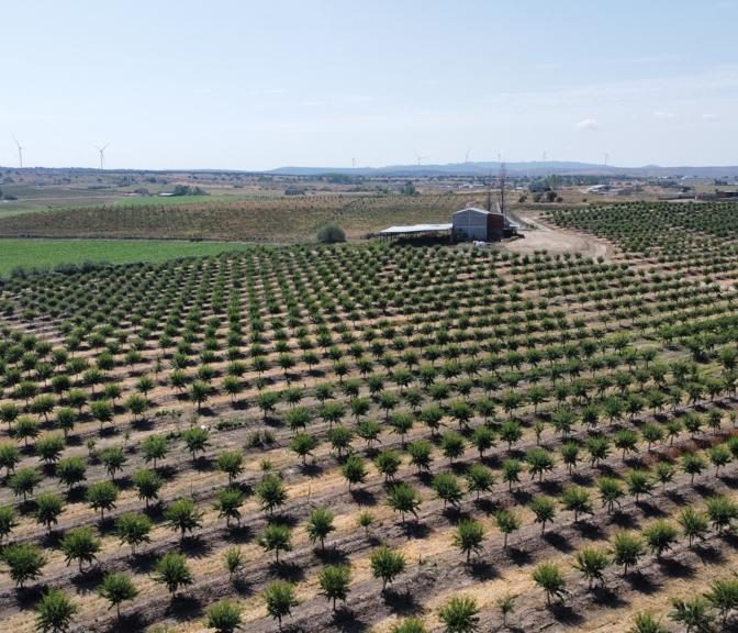 Farms for Sale in Spain: Best Rural Investmentsagro-invest-spain-08