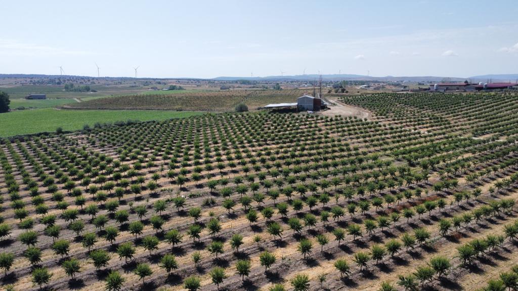 Farms for Sale in Spain: Best Rural Investmentsagro-invest-spain-08