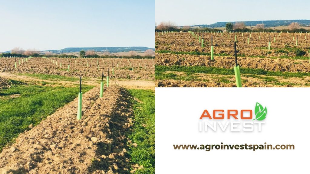 Agro Invest Spain is at the forefront of a farming revolution, showcasing how smart farming can change the way agricultural decisions are made 