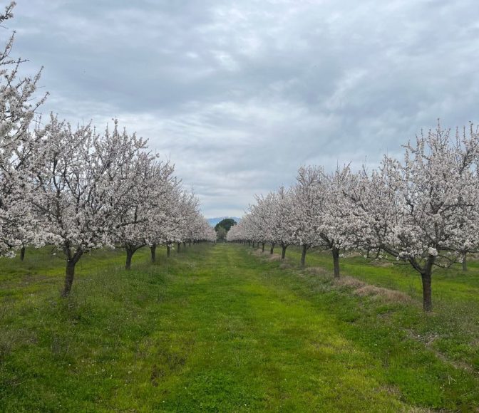 Invest in Ecosystem Services with Farmland: A Sustainable Opportunityagro-invest-spain-farmland-investment (14)