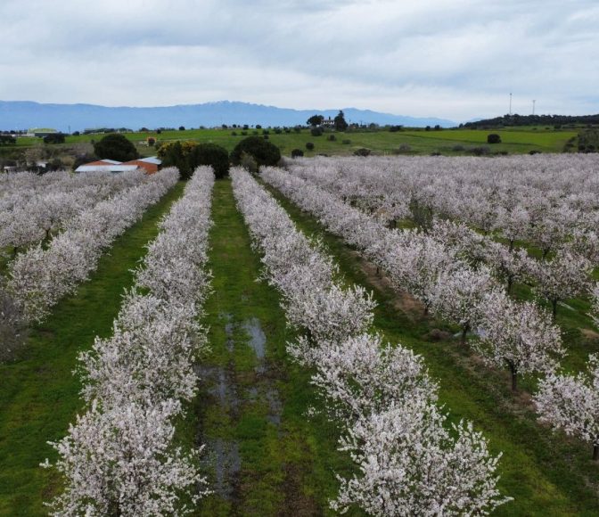 Diversified Farming Systems