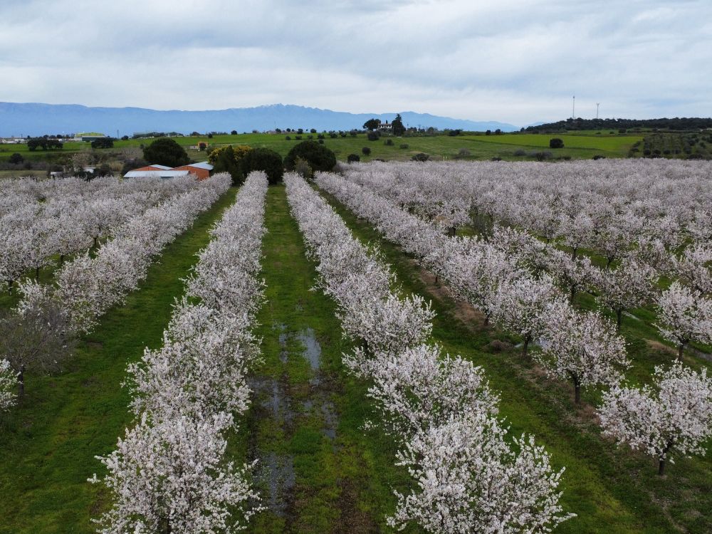 Diversified Farming Systems