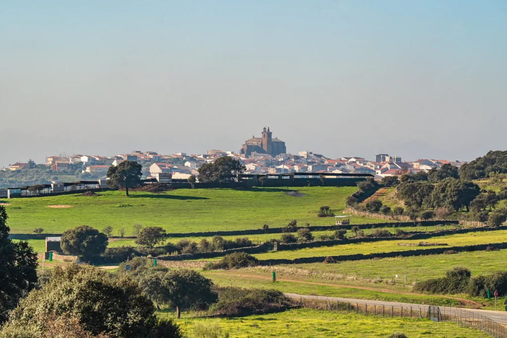 Malpartida de Plasencia - The Heart of Your Spanish Agricultural Investment -1
