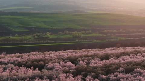 Agro Invest Spain: Secure and Unlimited Agricultural Ownership 3