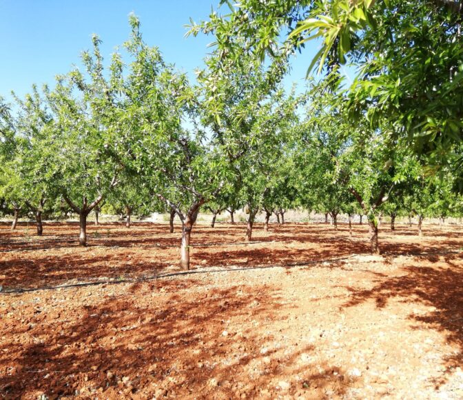 Unlimited Time Ownership: A New Model For Agricultural Investment Security 7